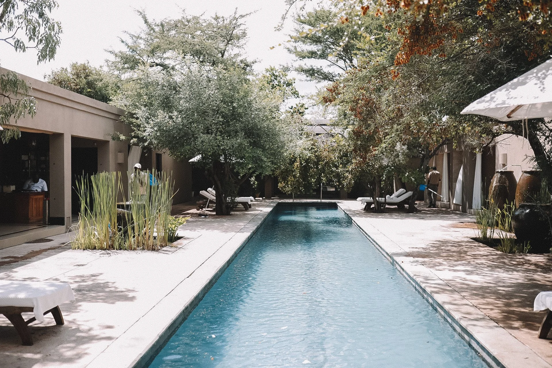 Royal Malewane spa pool in the Greater Kruger region of South Africa
