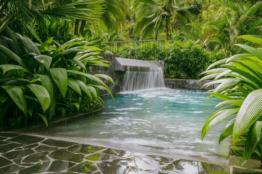 Thermal resort pool surrounded by tropical rainforest